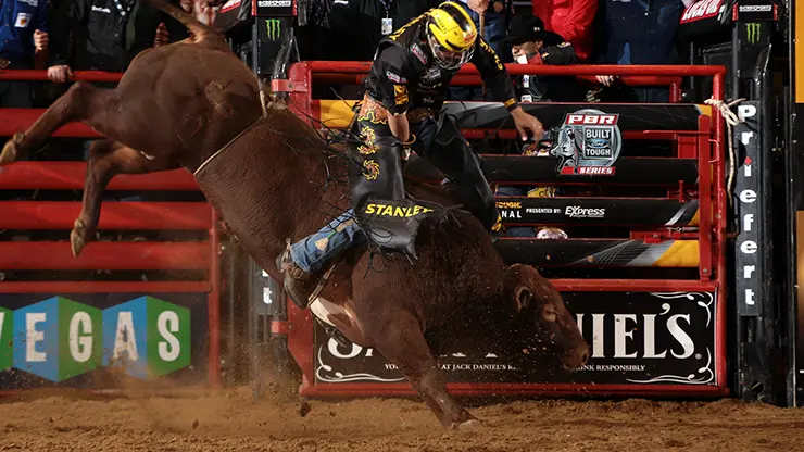 Alves recovering from hip surgery 