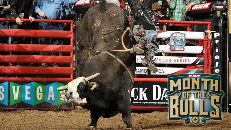 PBR celebrates its athletes with  the Month of the Bulls