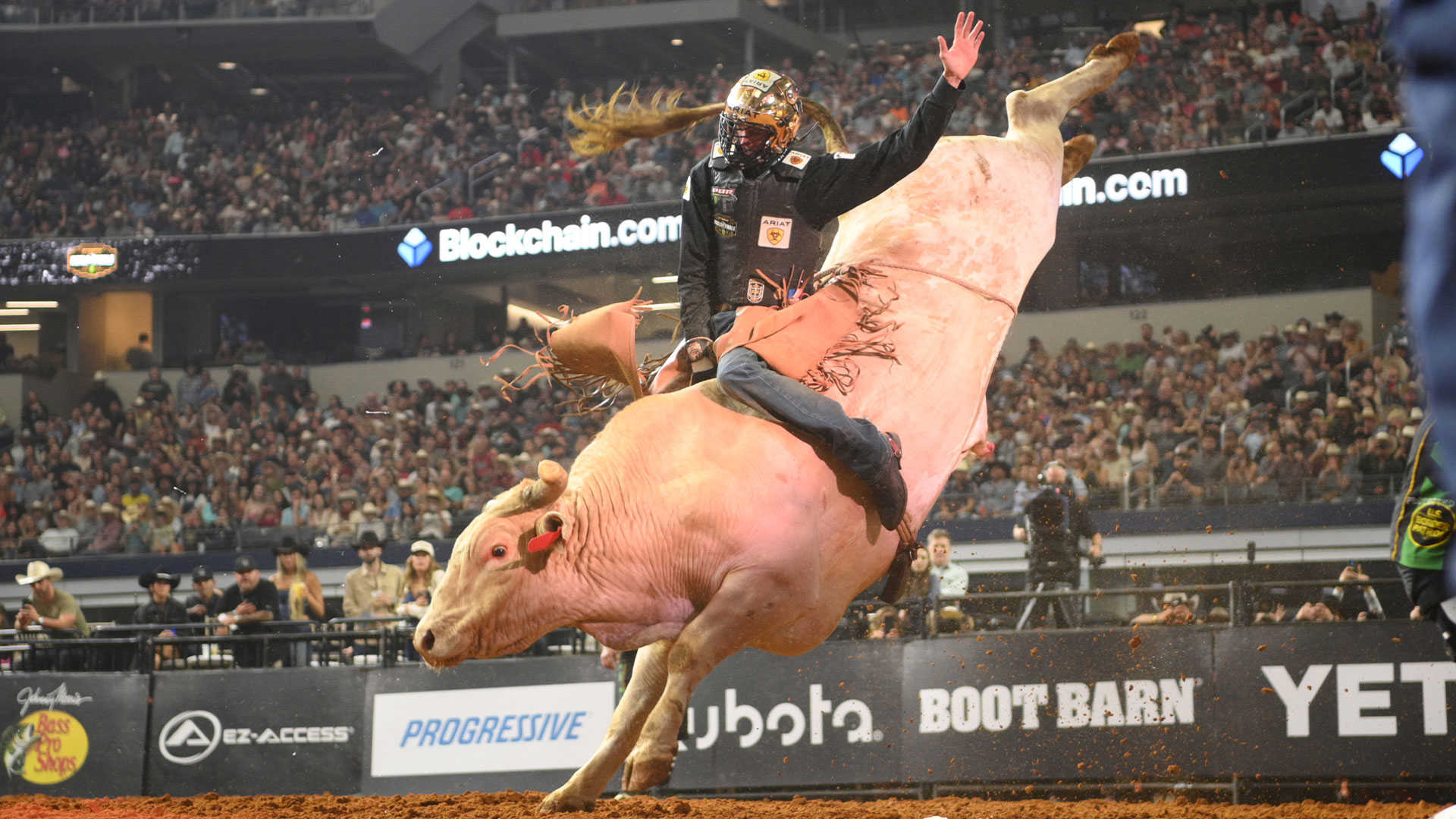PBR | Man Hater claims second-straight YETI World Championship Bull honors  via historic, high-flying campaign