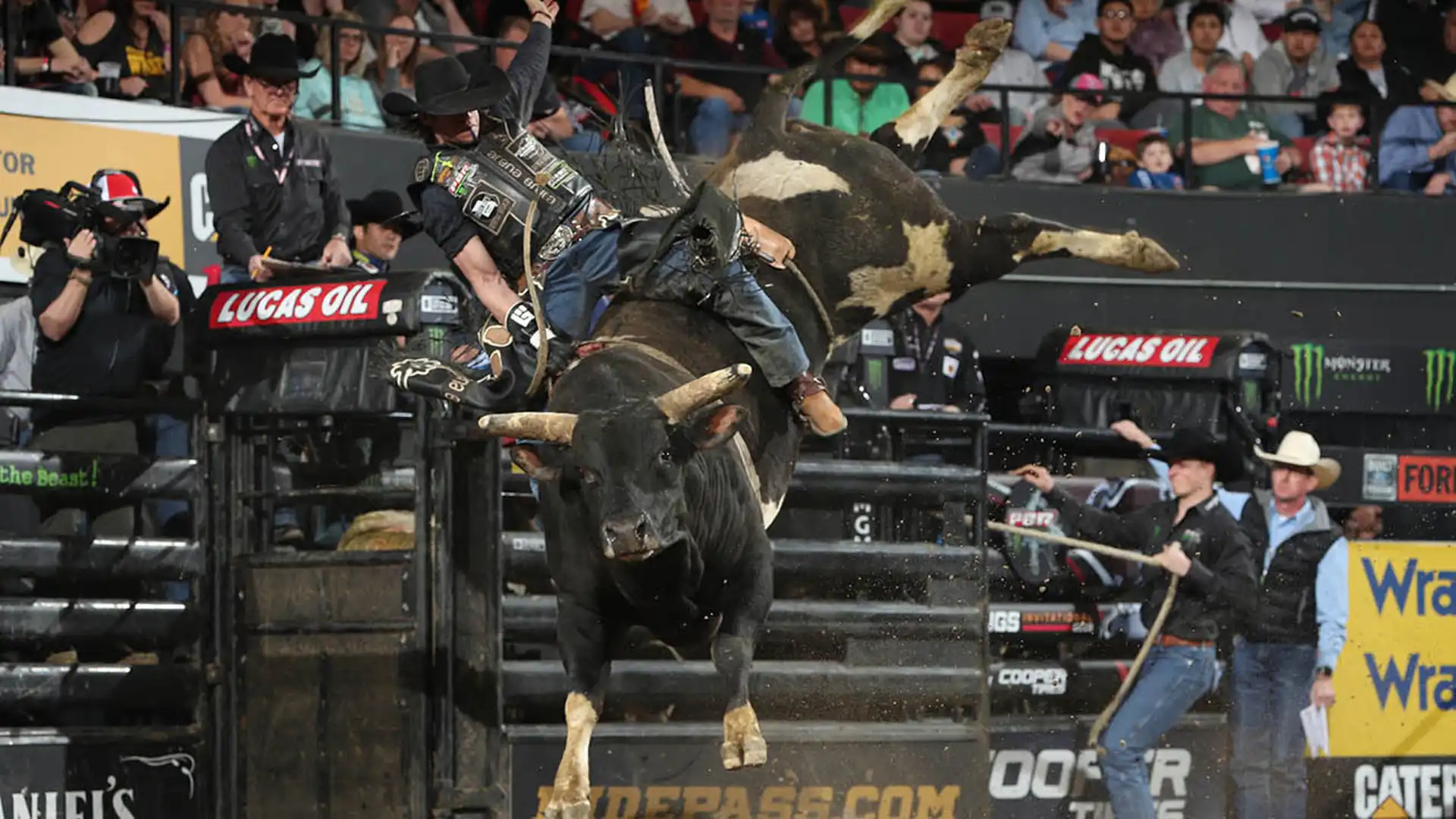 a644c0a7-849e-4637-9977-2467c6b9ed24