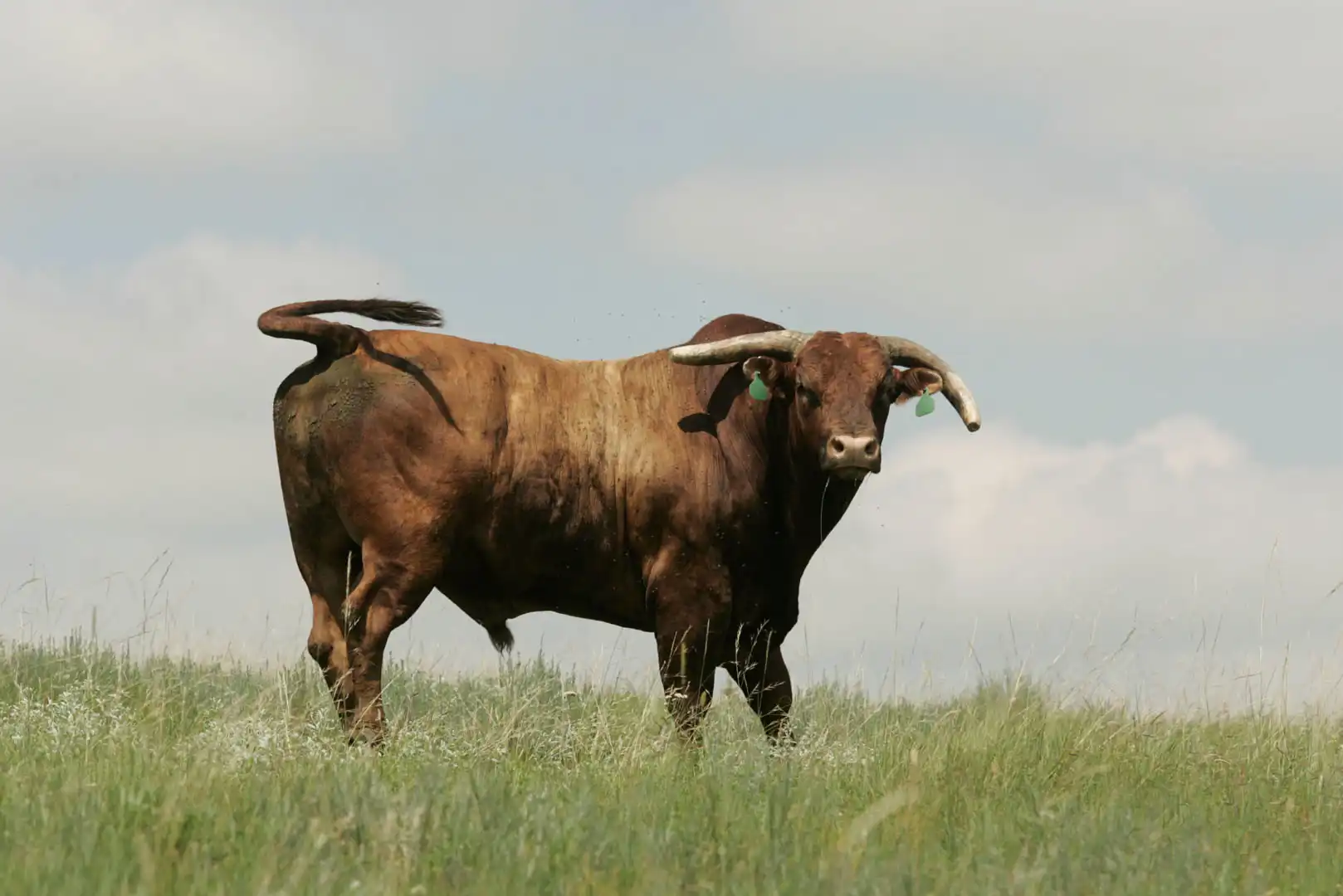 e9f014ca-eb07-45f9-bd3c-11d8be4895bb