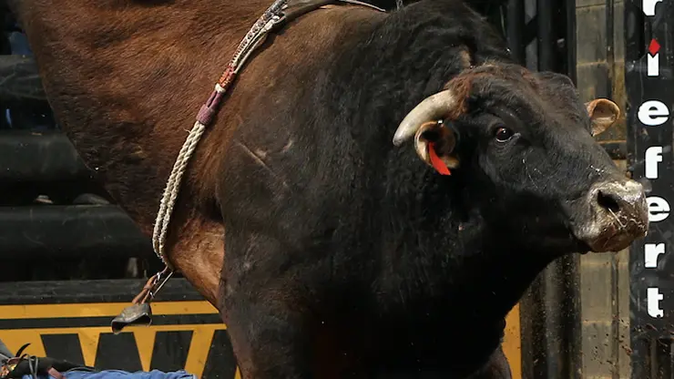 Remembering Big Dutch