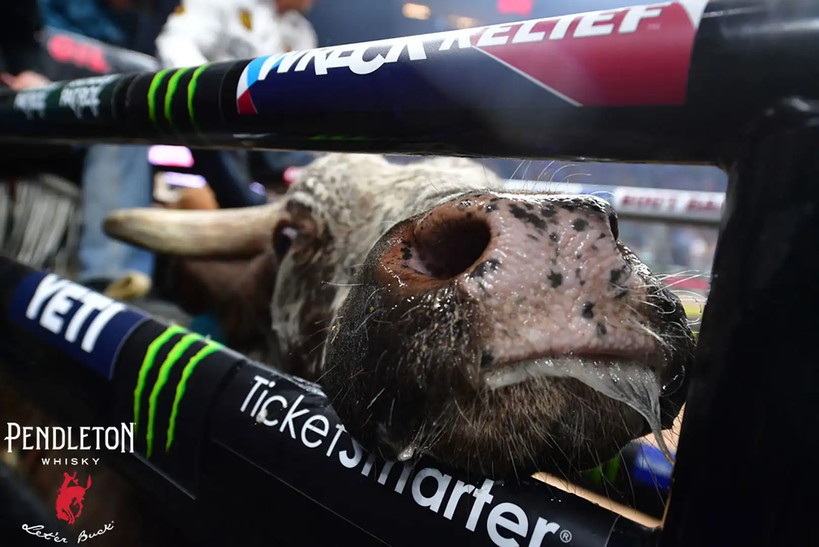 301ad8ac-c71c-437a-93bc-12950e0b6ded