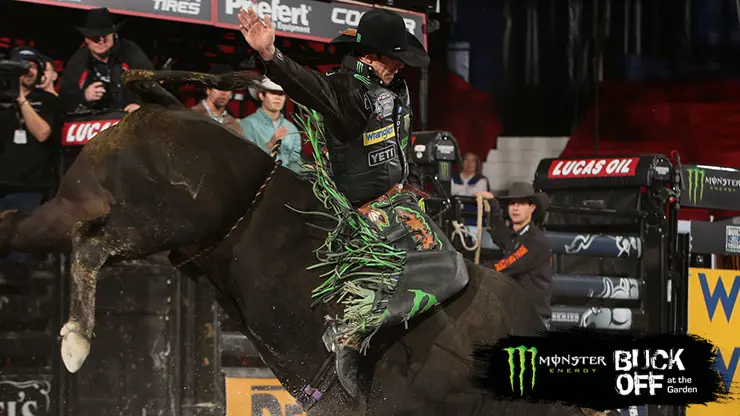 PBR celebrates 10-year anniversary at Madison Square Garden