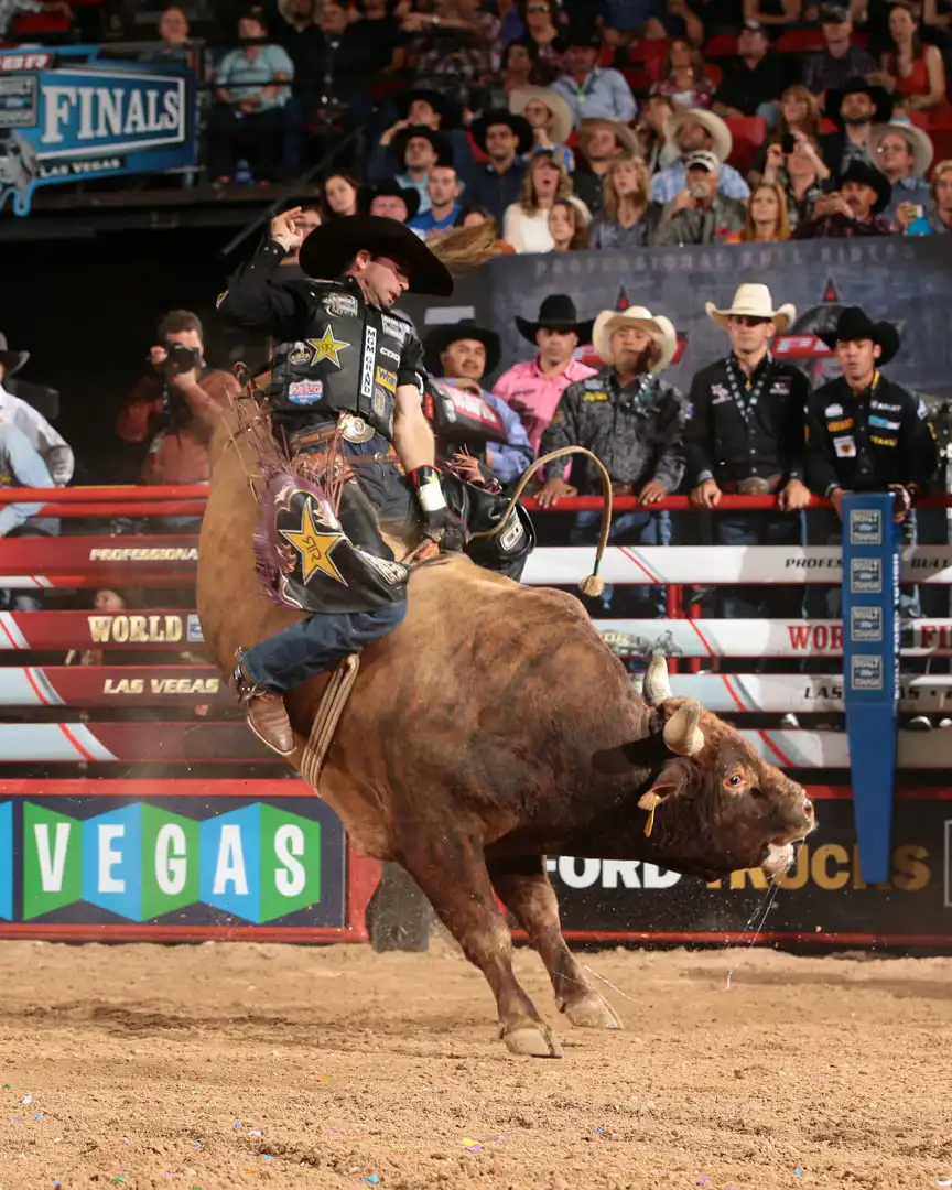 cc82b54e-6fa0-478f-a847-e7900b8d97b3