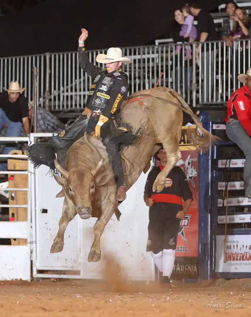 863eb8be-b019-47b4-a2e8-b9989ff77596