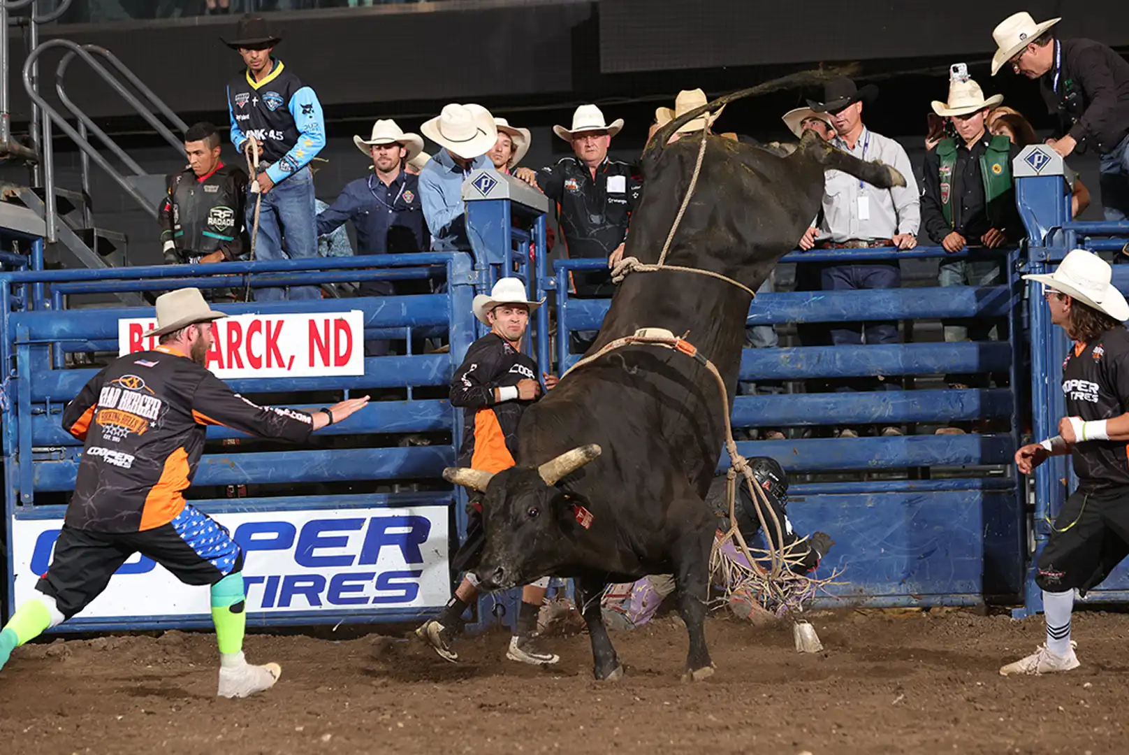 6ca698dc-2799-49fd-83f4-1735d5169fbb