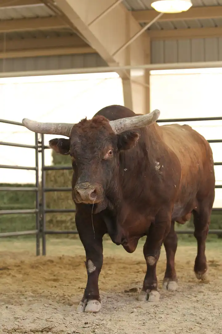 f93787c0-d1a4-40aa-96b3-28dc01504c19