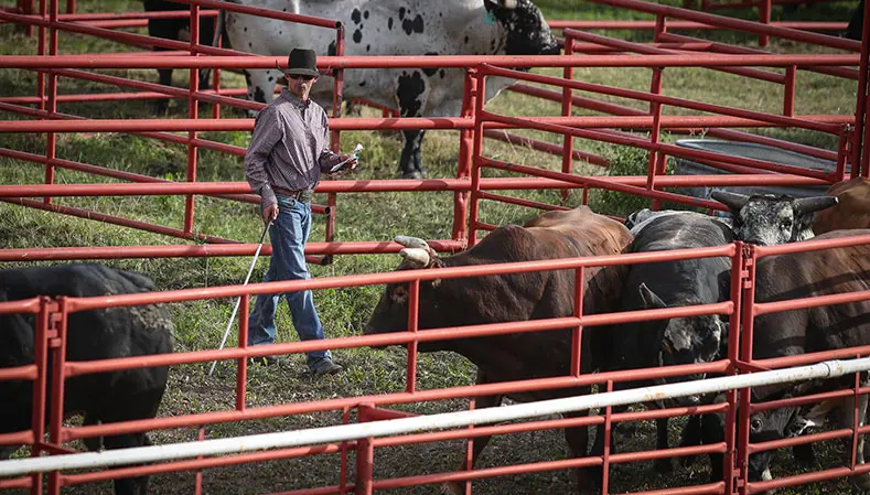 Australian Jake Wilson hopes to conclude 2022 with first selection to PBR Canada Finals as a stock contractor