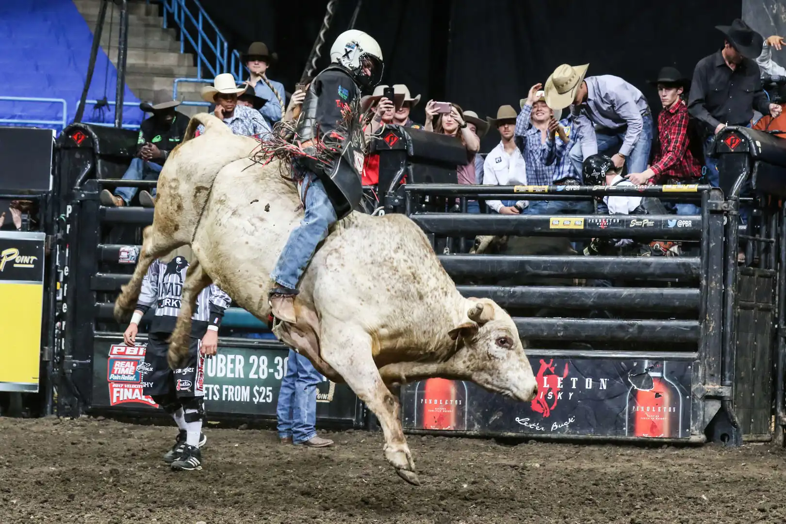 5bfc6fe2-74d5-436a-9791-e55ae1e563d3