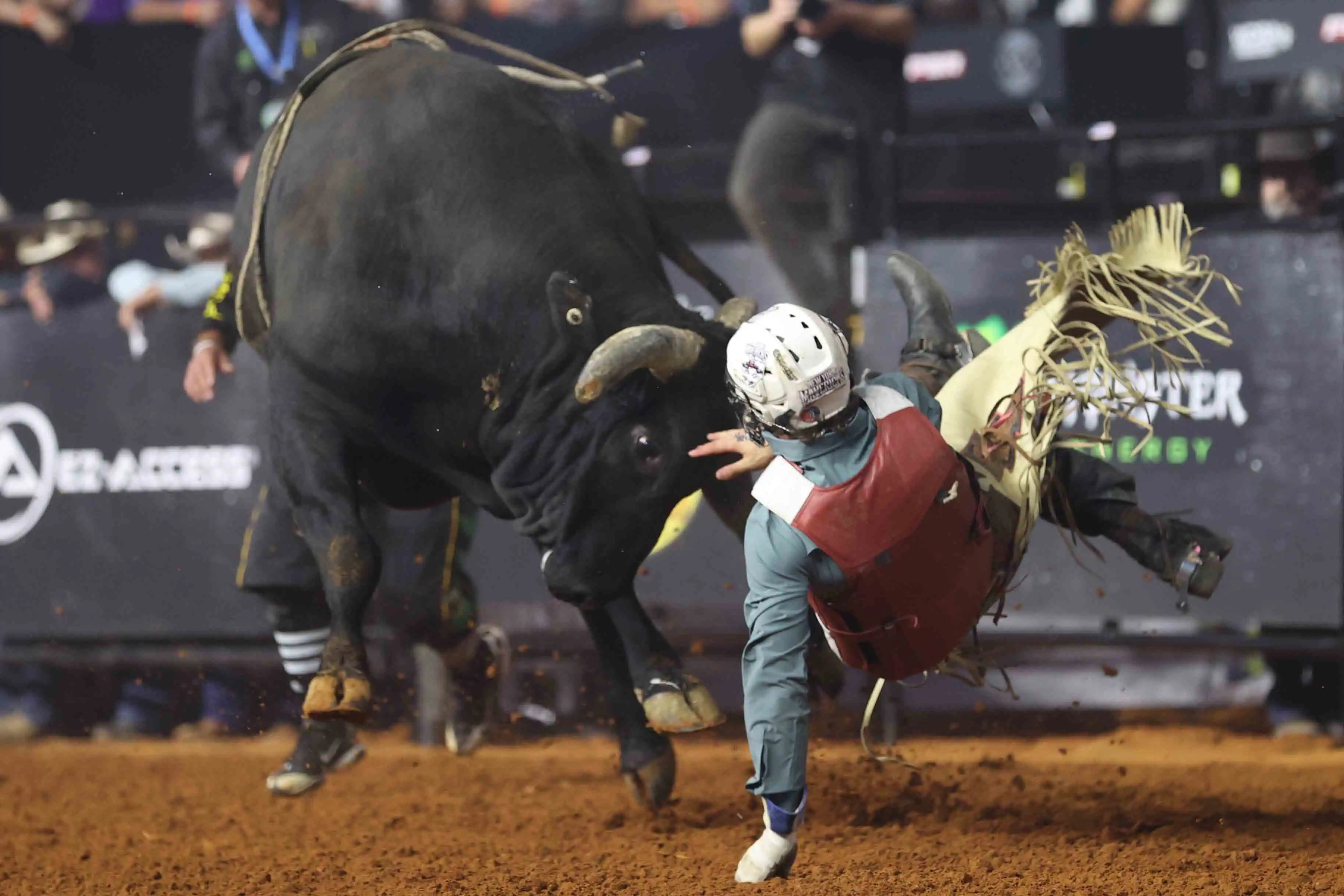 25 LIVE WF 01 JW 488