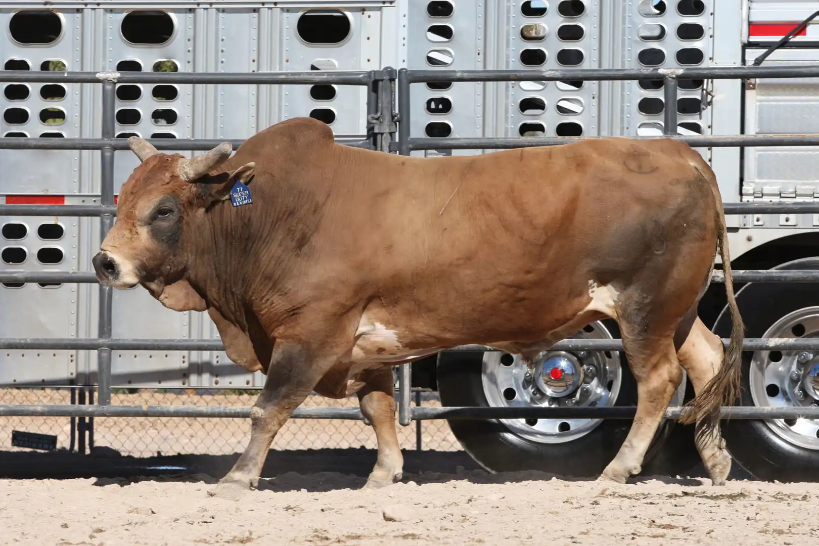 f3e9a2aa-f2bd-49e1-b91a-4afb5d66469c