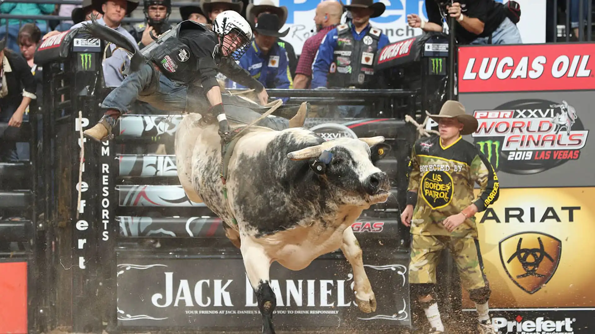 31cfff28-823f-4219-bf53-c905bfd2ab2f