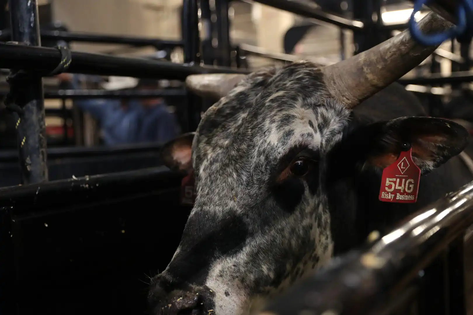 ca2232f6-b6eb-4129-a984-c55ed0360f3f