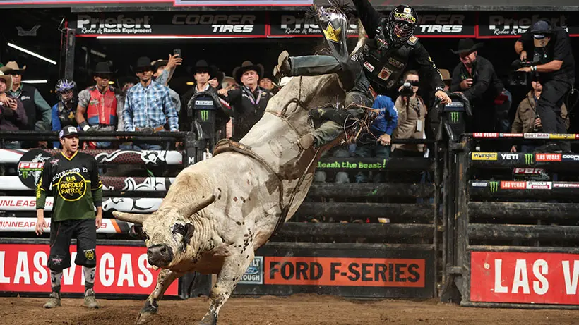 Smooth Operator dispatches Triplett in last tune-up before World Finals 