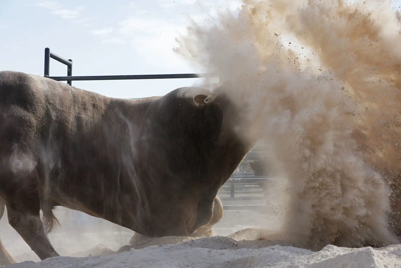 8d19a269-4743-45e9-8bc2-de37016a18fd