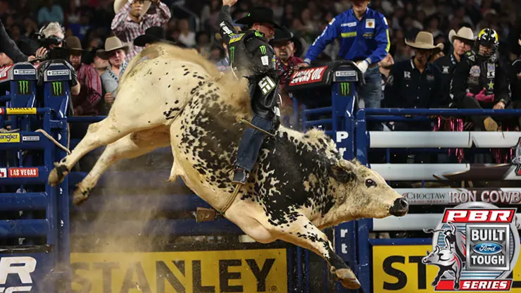 10 bulls that starred in the first half