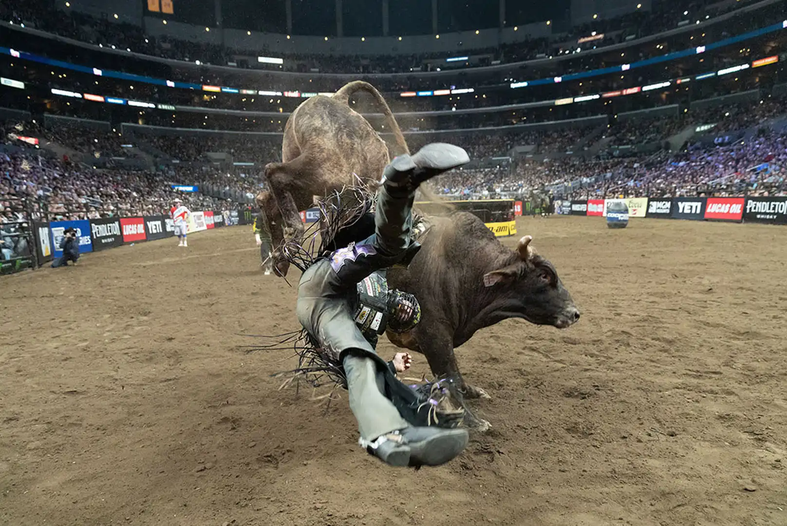 253bfa9f-5247-4bef-bcd1-368238f728d8