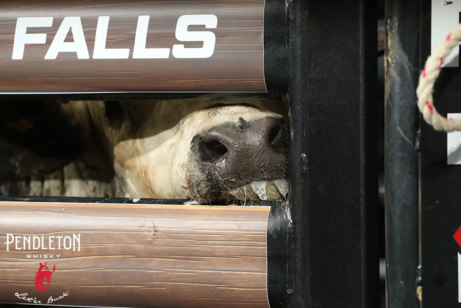 508241d3-dcae-4aaf-bcd2-cdda2d4d41cd