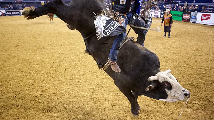 Marchi, Mick E Mouse to meet at Bulls on the Beach