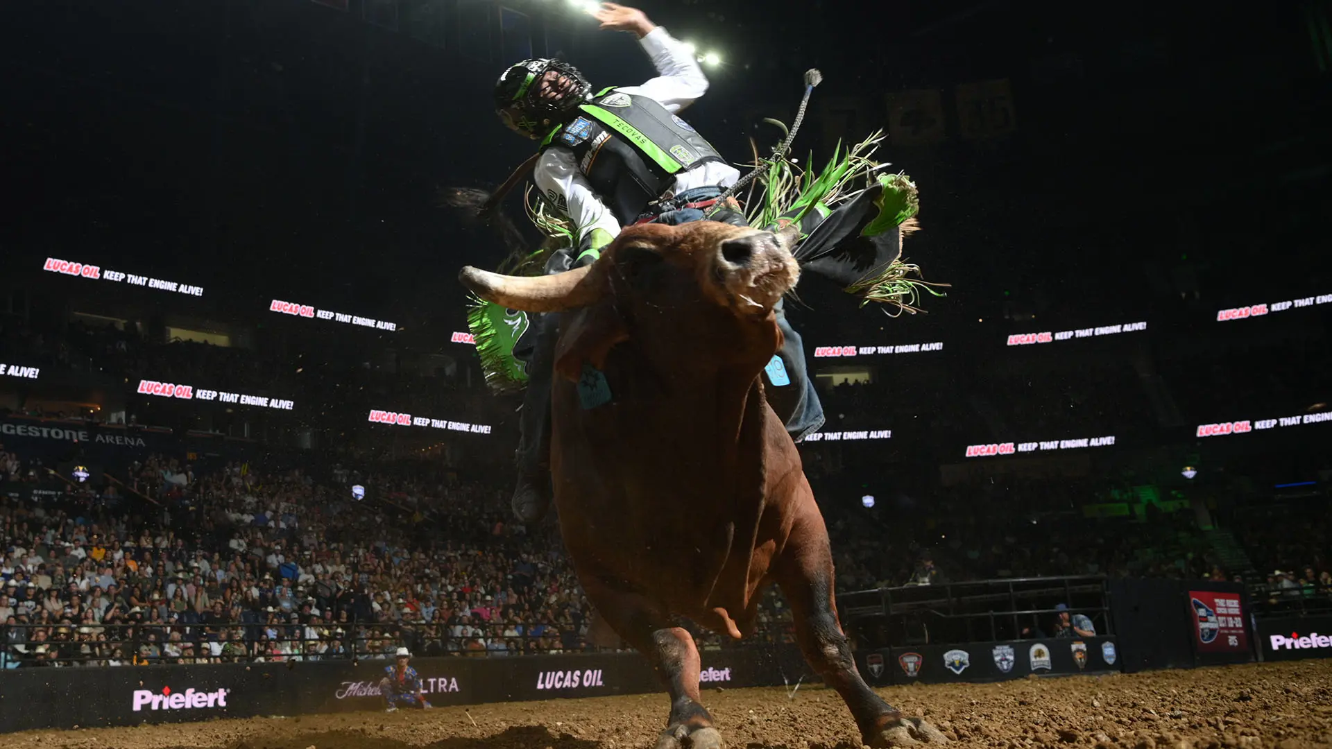 Where to Watch: Gambler Days