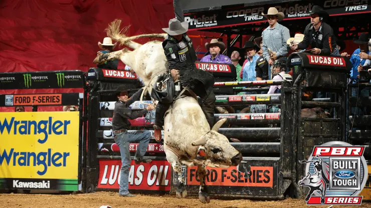 Smooth Operator gets revenge on Marchi; TLW’s Big Cat named top bull
