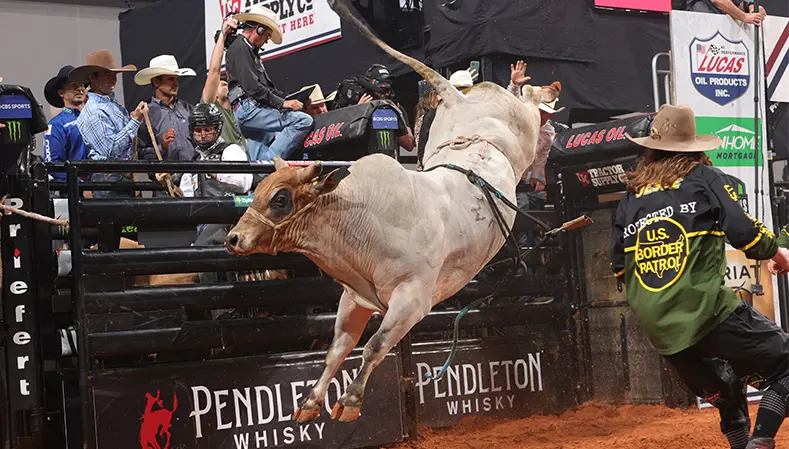 From the Vault: Looking back at Ridin Solo’s 2022 YETI World Champion Bull title