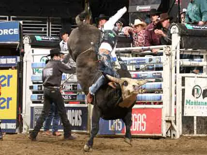 New Mexico Rider Dominates The Genuity Invitational!