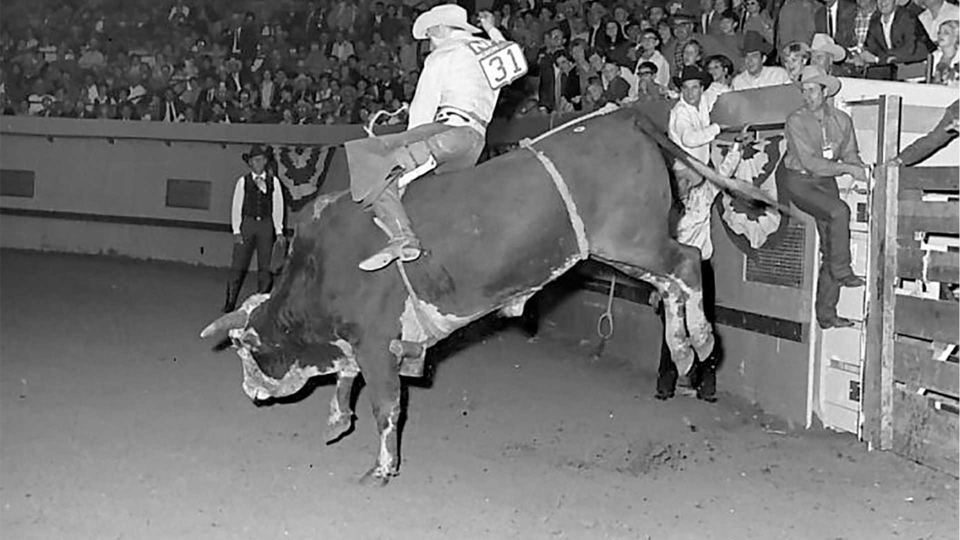 PBR | The ride: When a man, a bull, and history collided " a review of a timeless story