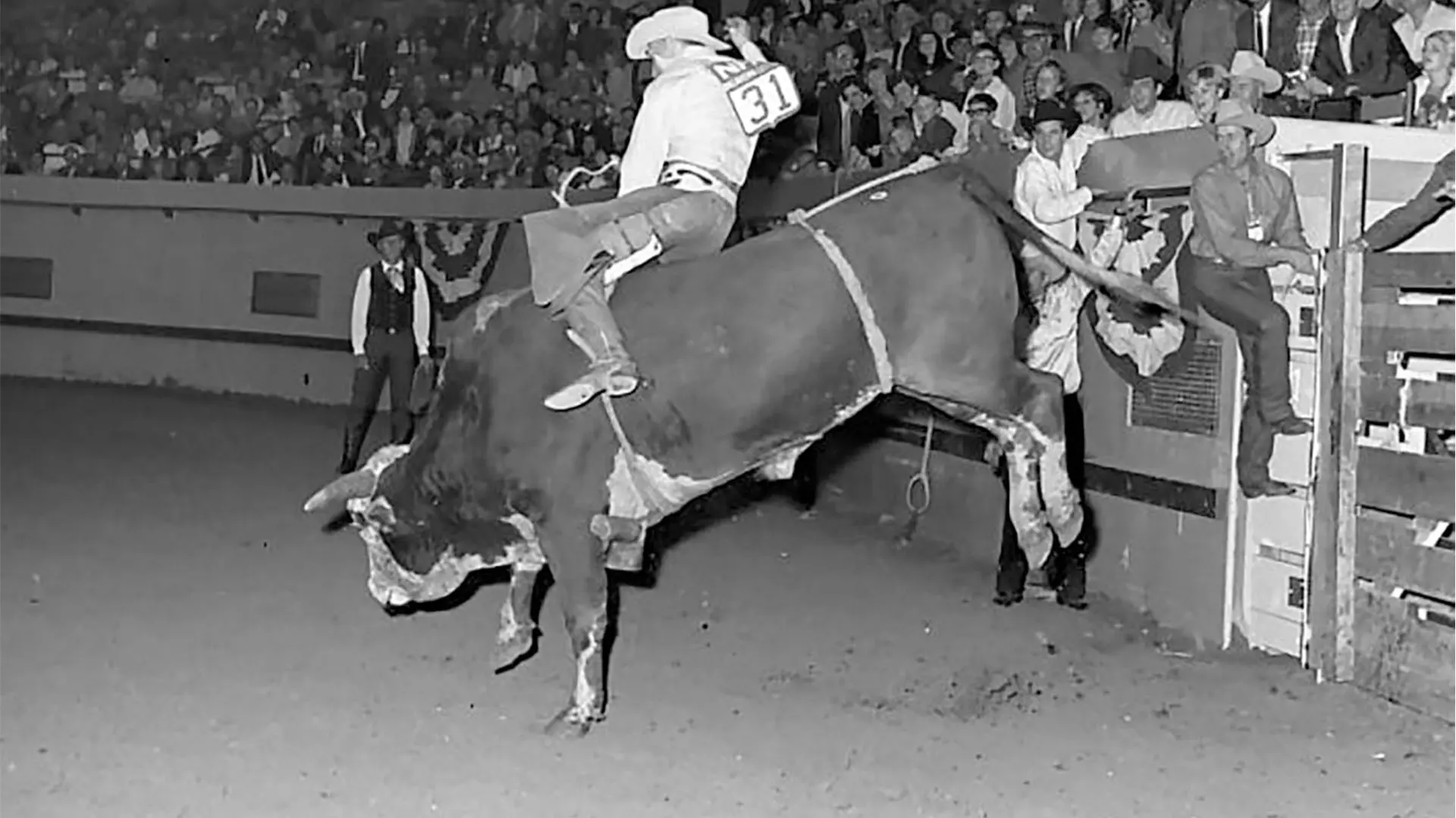 The ride: When a man, a bull, and history collided — a review of a timeless story