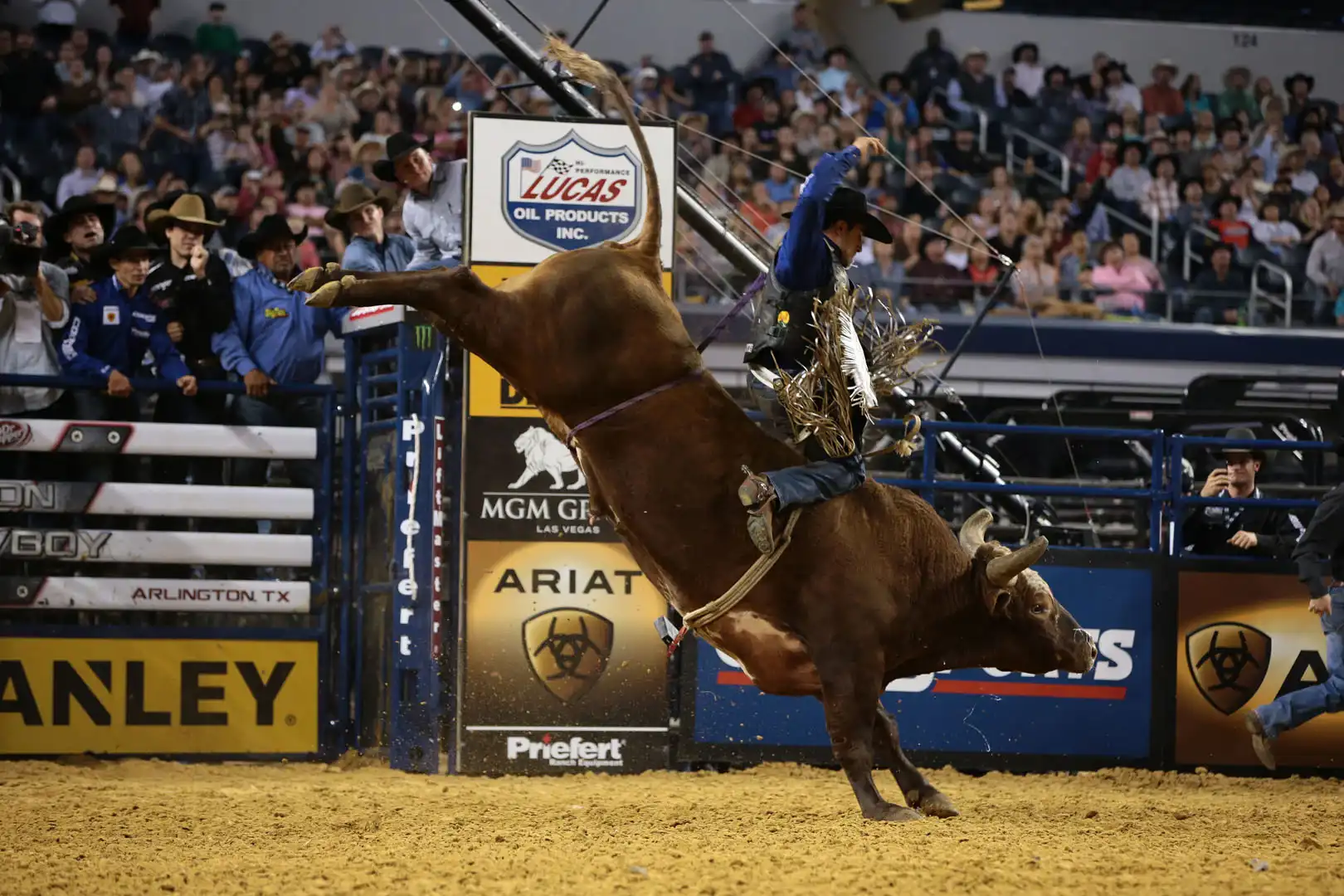 a019829e-8a85-4916-8b9d-81926f7bbe2c