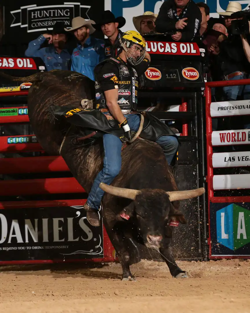 cbb939f7-d8e9-430c-83a6-1ad0e997ad77