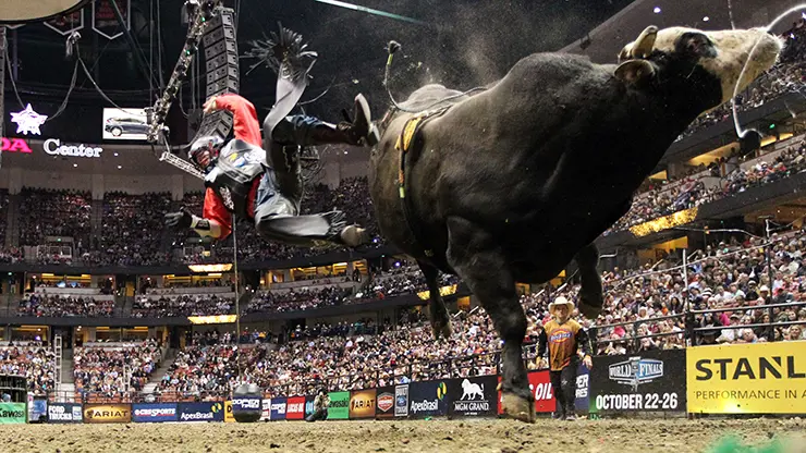 Mick E Mouse in top contention for World Champion Bull title