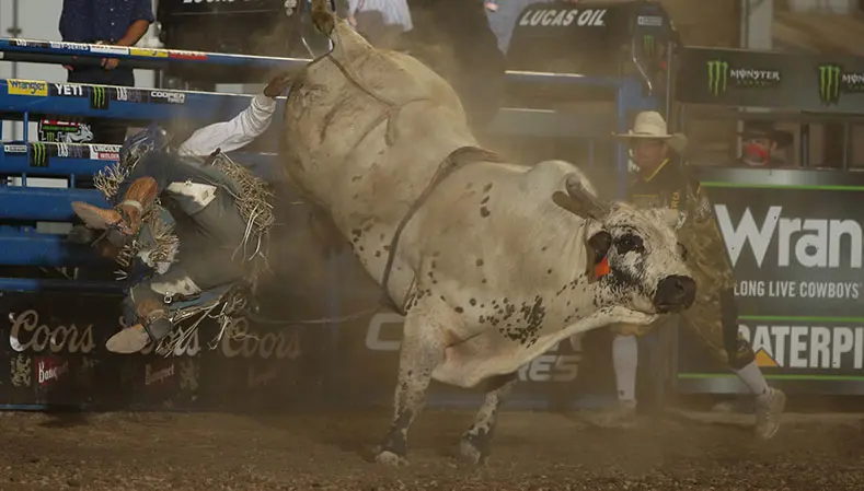 2020 YETI World Championship Bull race one of the tightest in recent PBR history