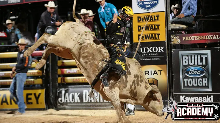 The PBR launches PBR Academy 