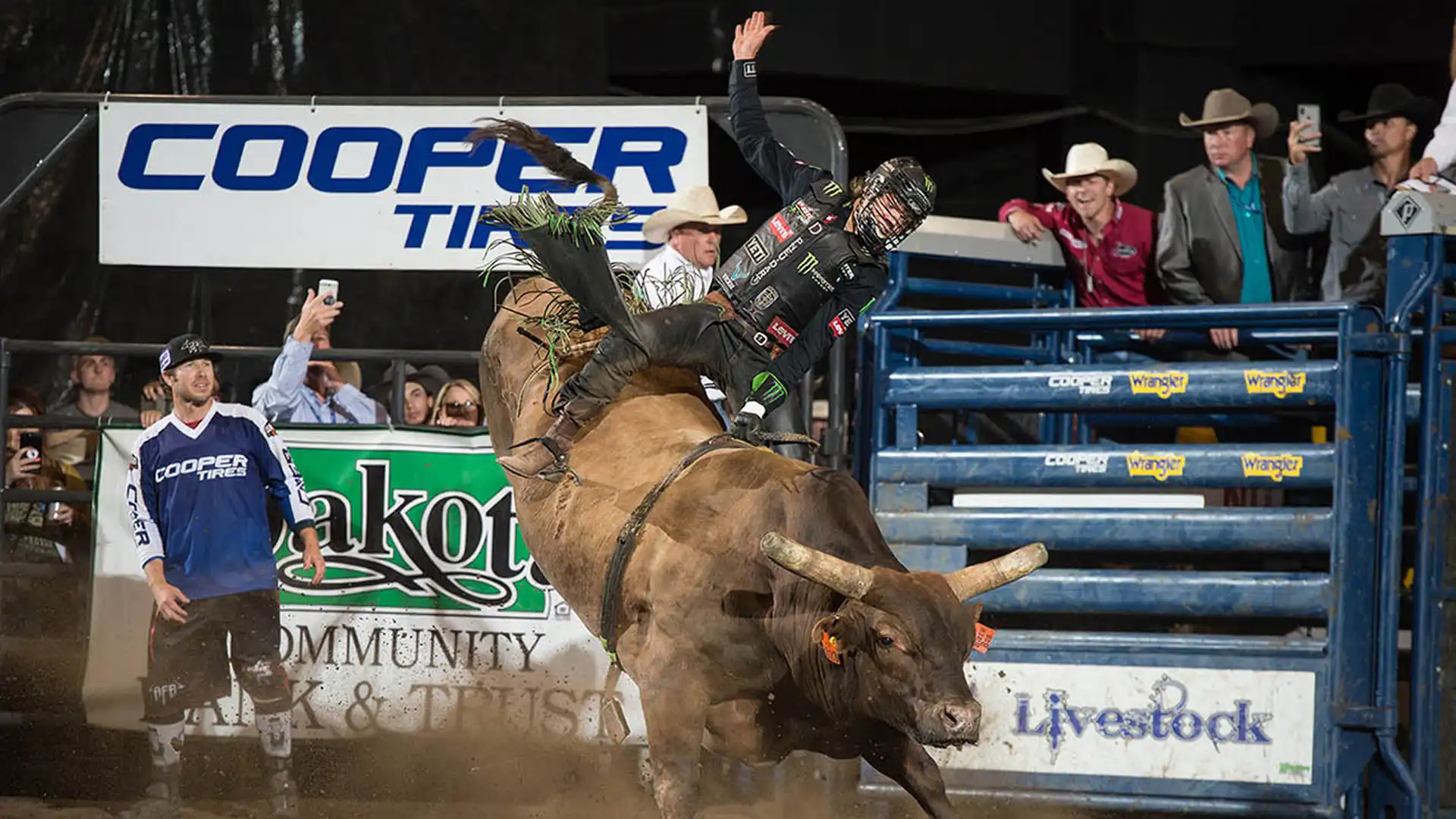 bb5dfb22-9deb-46c9-93d0-4194be43c934