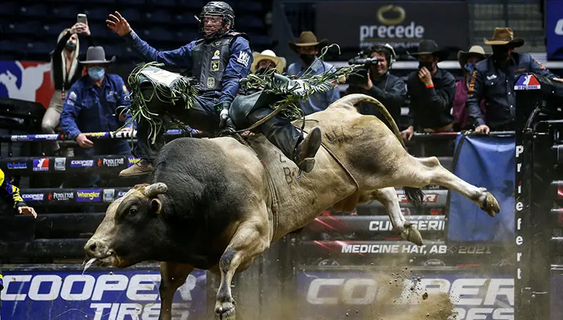 2021 in Review: Top 5 bull scores in PBR Canada competition