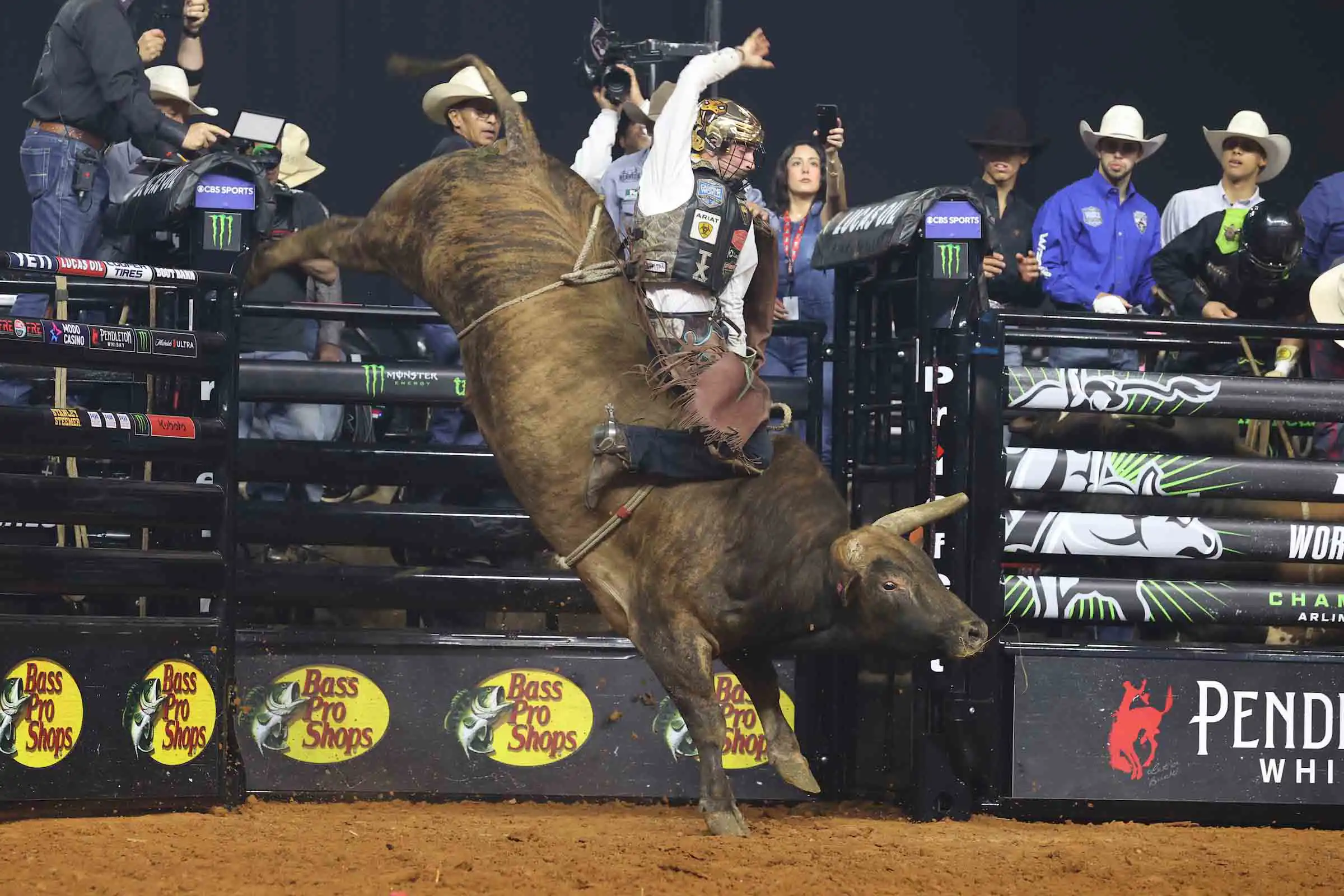 25 LIVE WF 01 JW 398