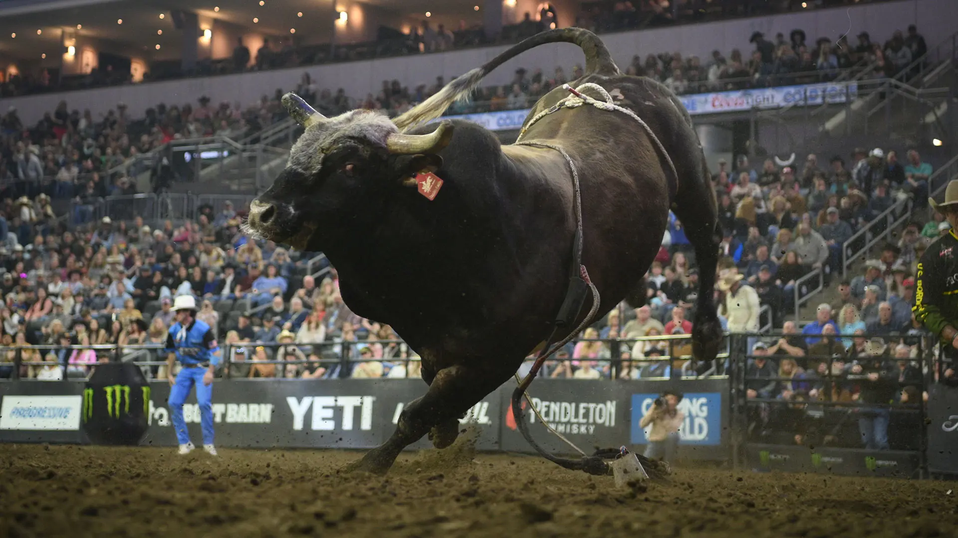 Magic Potion ties Cool Whip’s all-time buckoff streak at 48
