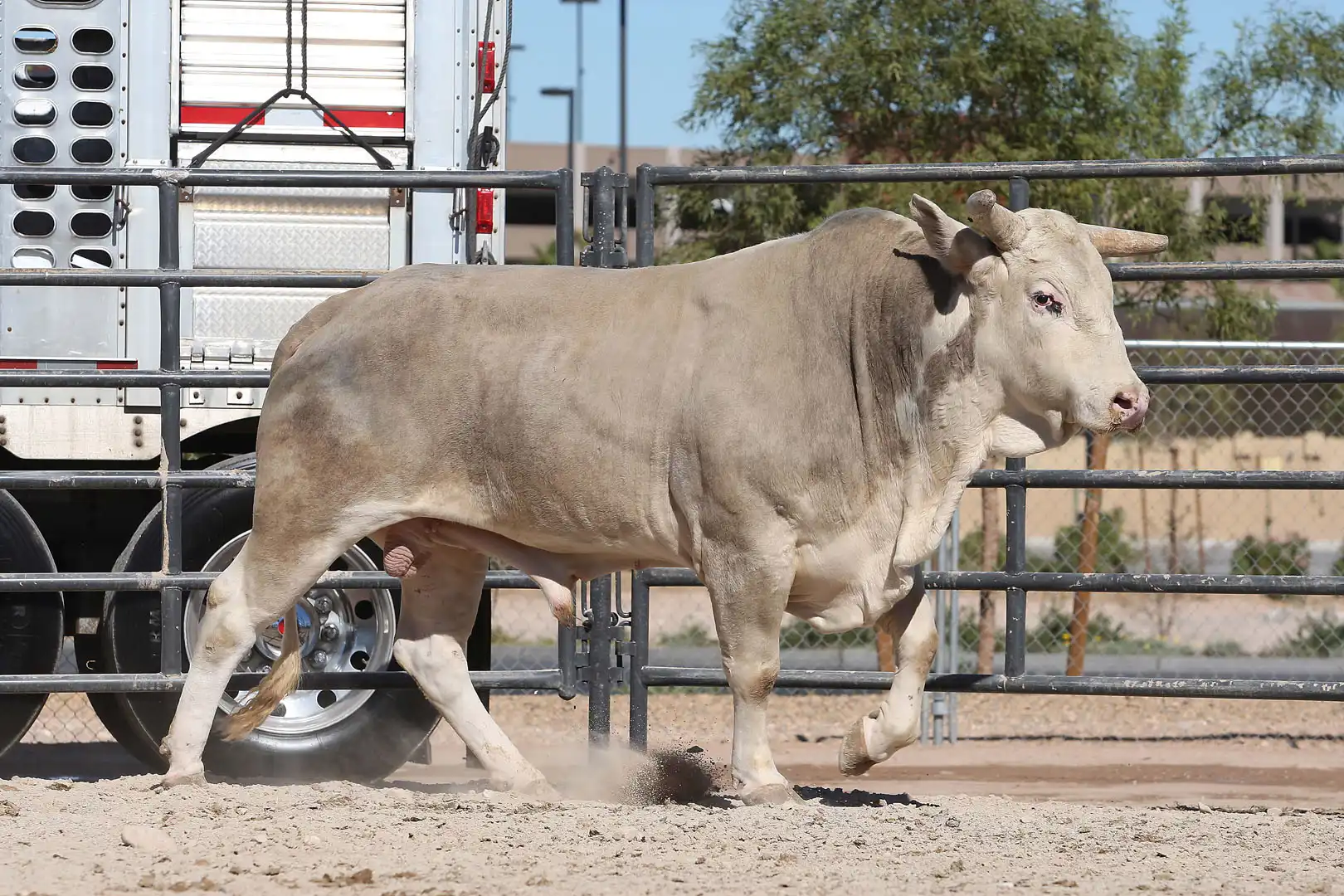 f8fcaff5-fc6e-4032-ab5d-ca6e297c7cdd