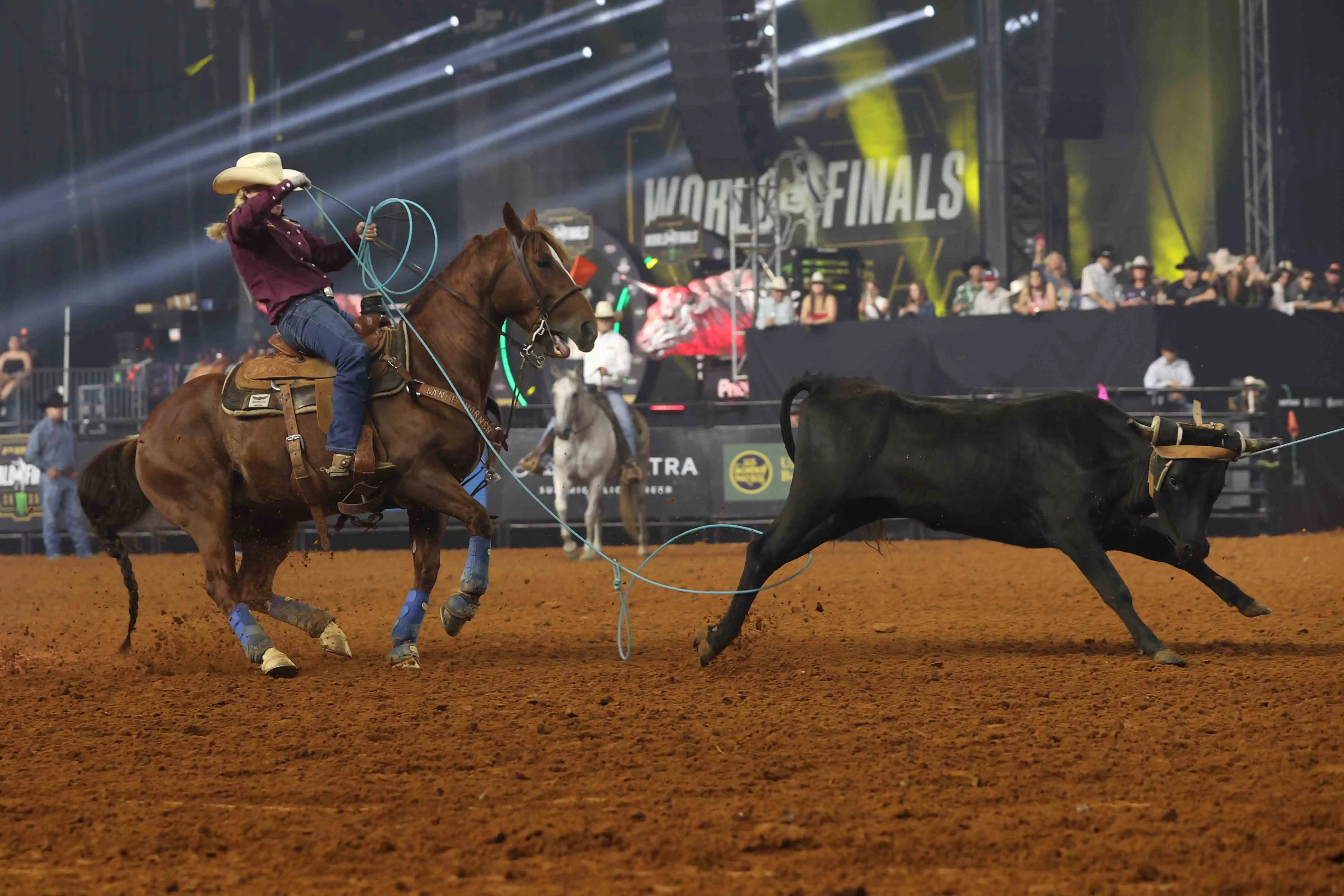 25 LIVE WF 01 JW 618