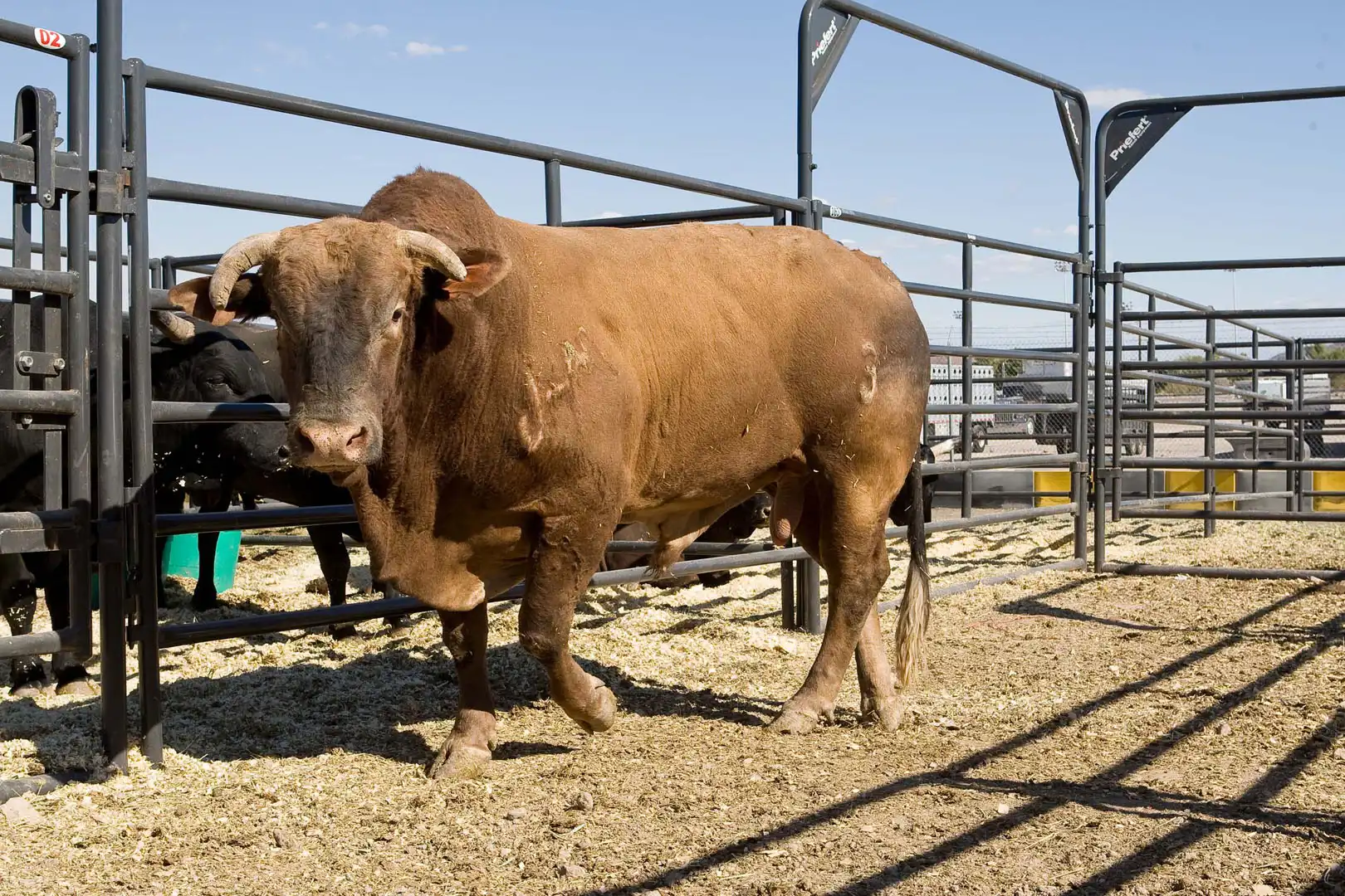 05cc333b-0ebc-499e-b790-d00221f70419