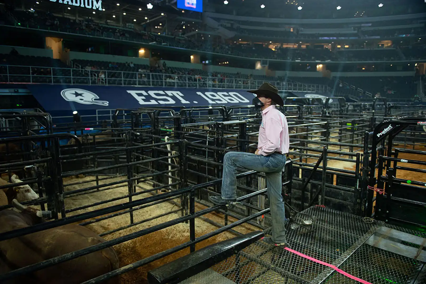 ca38890e-ca5c-43a3-a855-1babfa638eb8