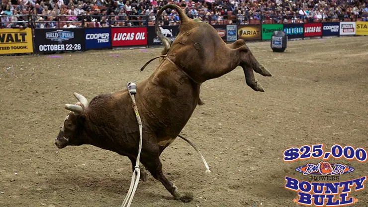 Bushwacker, PBR to air on CBS three straight weeks