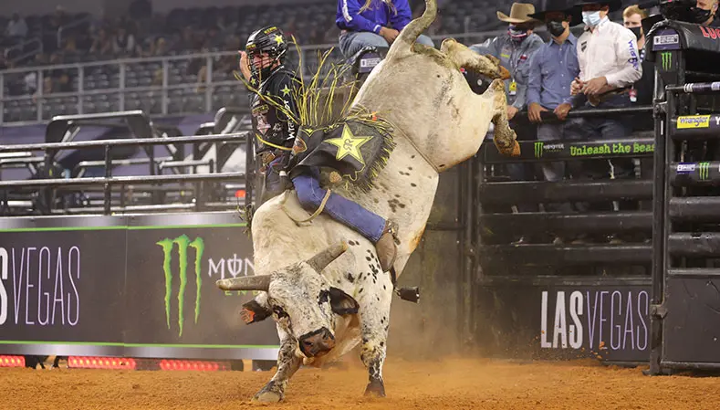 Smooth Operator takes over the lead in YETI World Champion Bull race
