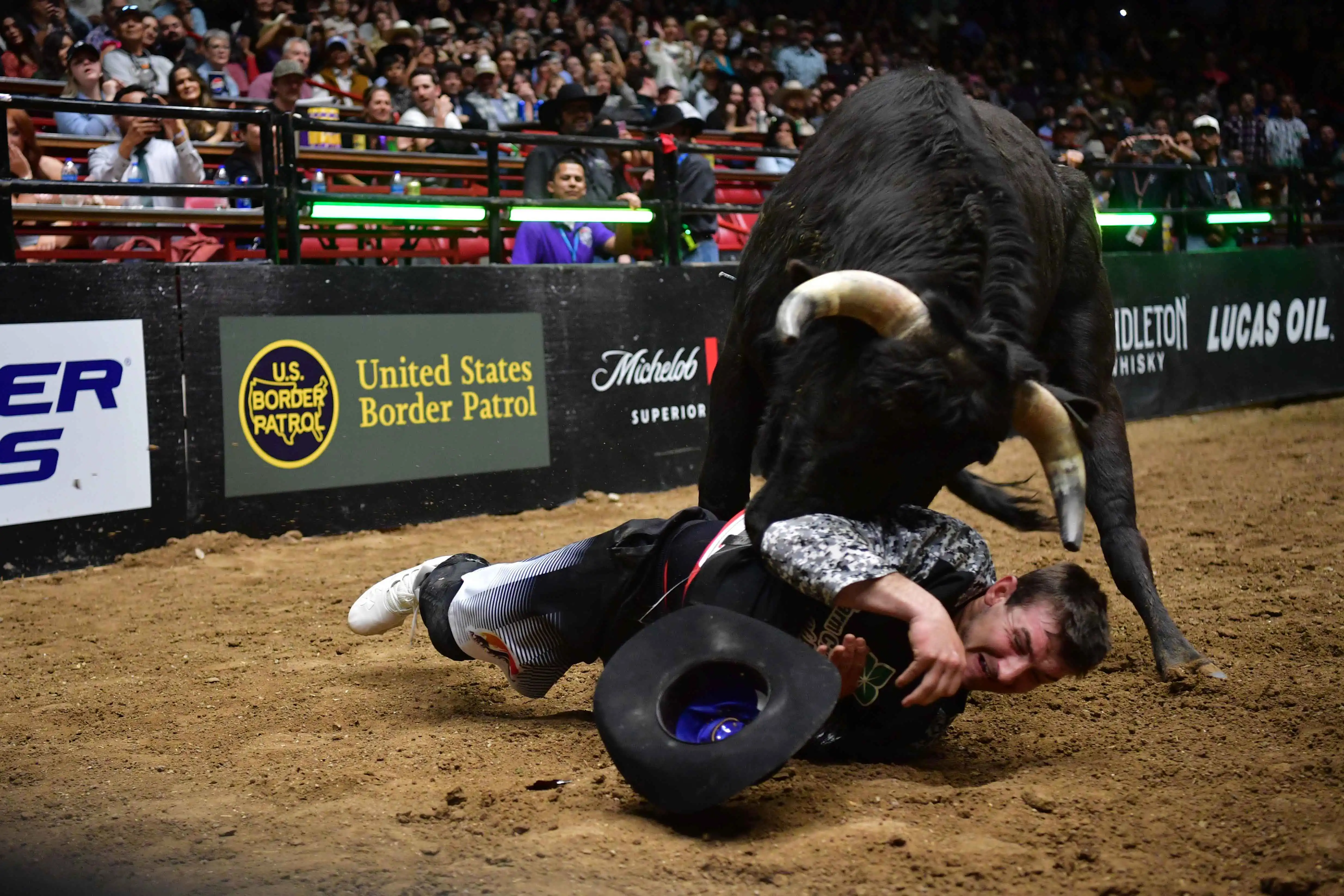 25 LIVE Albuquerque 01 350