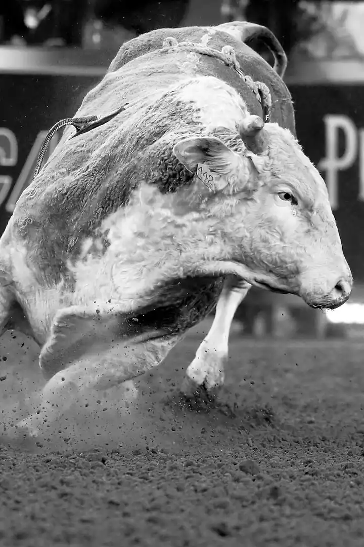 9c14ad0c-afb2-4f2b-9aa1-e0046344ba74