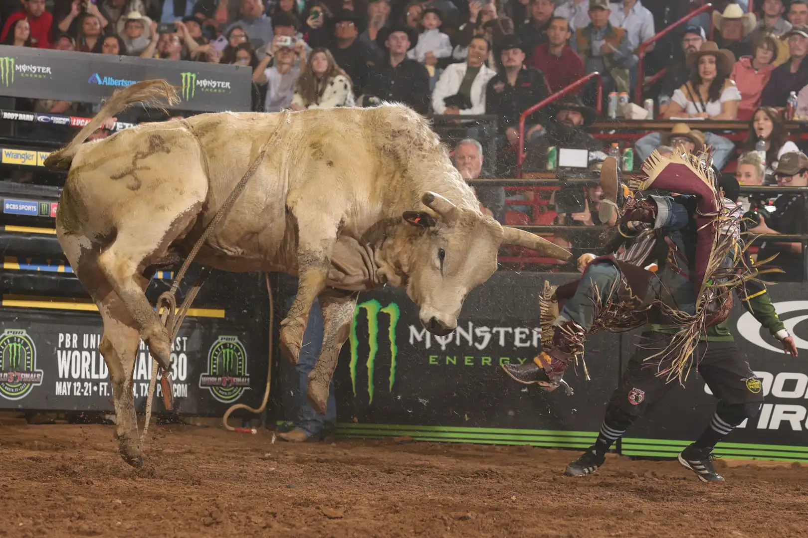 4c2ea9da-fcf3-4ed9-92a1-817e6711e62f