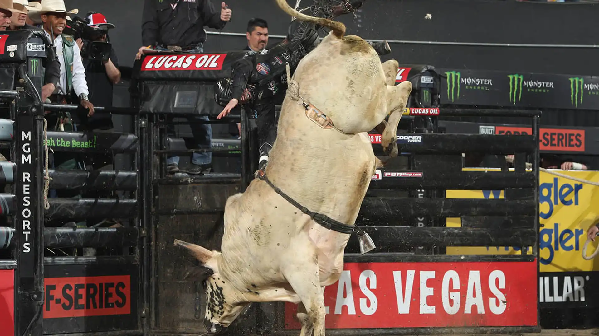 2a008dab-7615-43db-9259-2f63b641760e