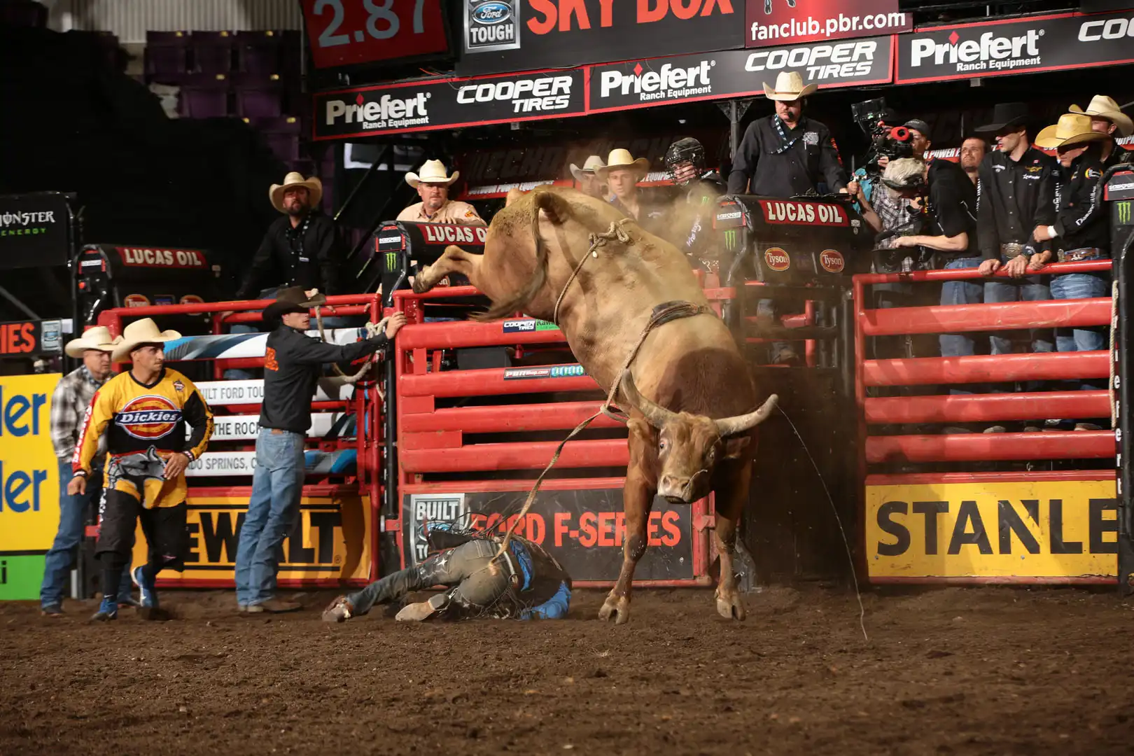 5ddb50cf-a190-44a2-87aa-dfc8d44f3997